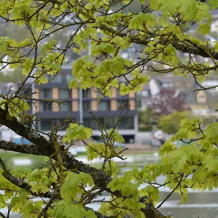 Boutique Moselgarten Hotel Bullay