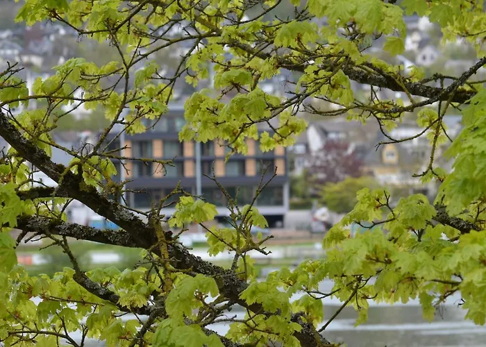 Boutique Moselgarten Hotel Bullay