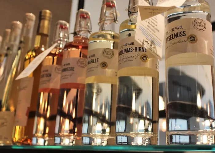 호텔 Boutique Moselgarten 불라이