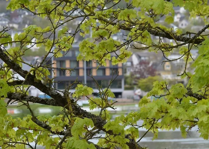 호텔 Boutique Moselgarten 불라이